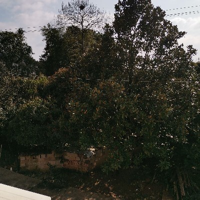 我要钱多多我要买车车