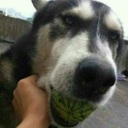 闹钟超舒适起床MELANCHOLY