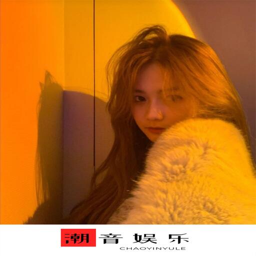 越南魔性神曲 (片段)