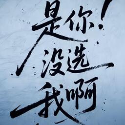 是我沒等你嗎是你沒選我啊 (遺憾版)